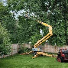Lawn Pest Prevention in Social Circle, GA